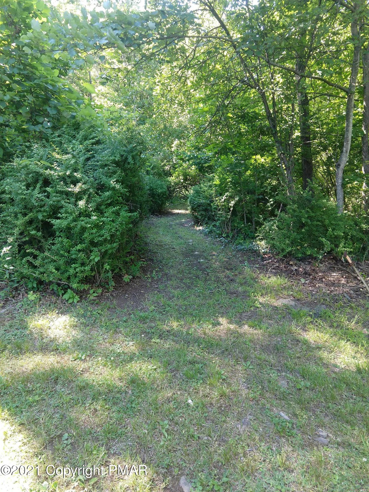 259 Hay Road Stroudsburg, PA 18360 - Photo 100 of 137 a view of a yard with a tree