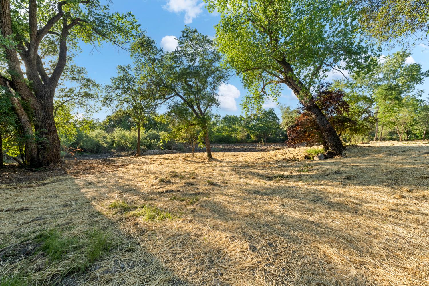 6065 Indian Springs Road Loomis, CA 95650 - Photo 3 of 7