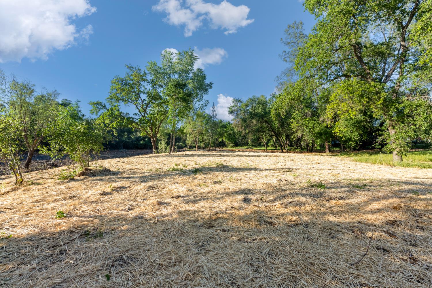 6065 Indian Springs Road Loomis, CA 95650 - Photo 4 of 7