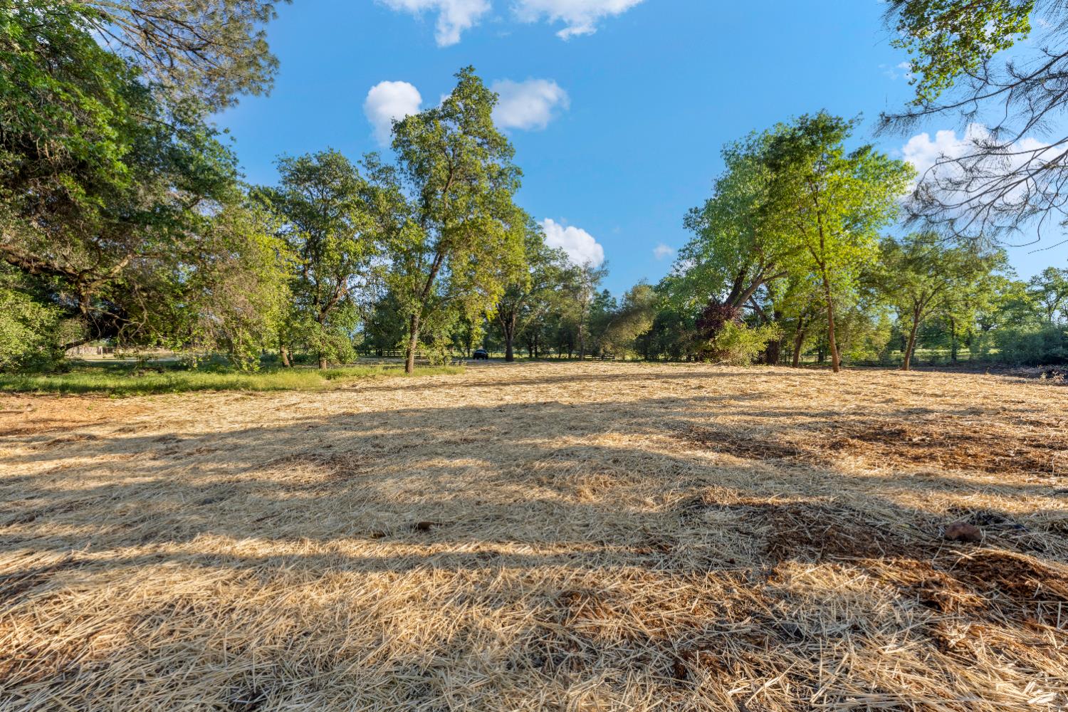 6065 Indian Springs Road Loomis, CA 95650 - Photo 5 of 7