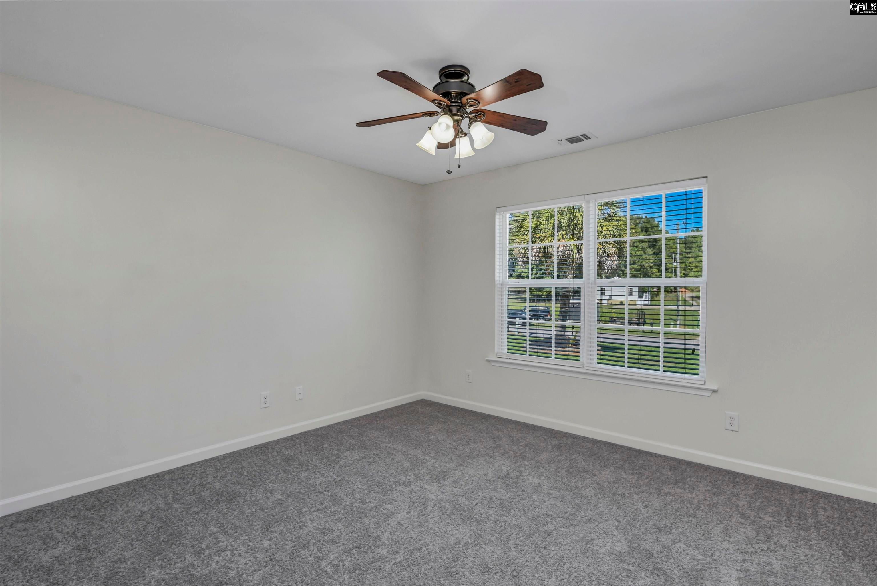 539 Old Bush River Road Chapin, SC 29036 - Photo 28 of 52 Gallery Image 28