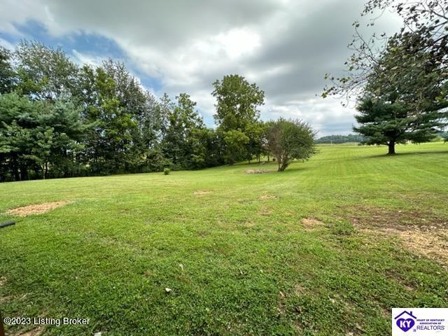 730 Rabbitt Run Road Vine Grove, KY 40175 - Photo 7 of 31 1264954-6