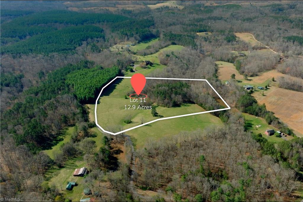 1019-11 George Road Westfield, NC 27053 - Photo 3 of 18