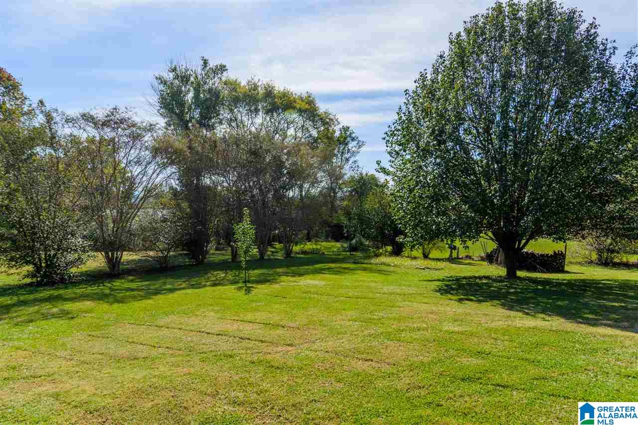 1247 Al Seier Road Hoover, AL 35226 - Photo 35 of 38