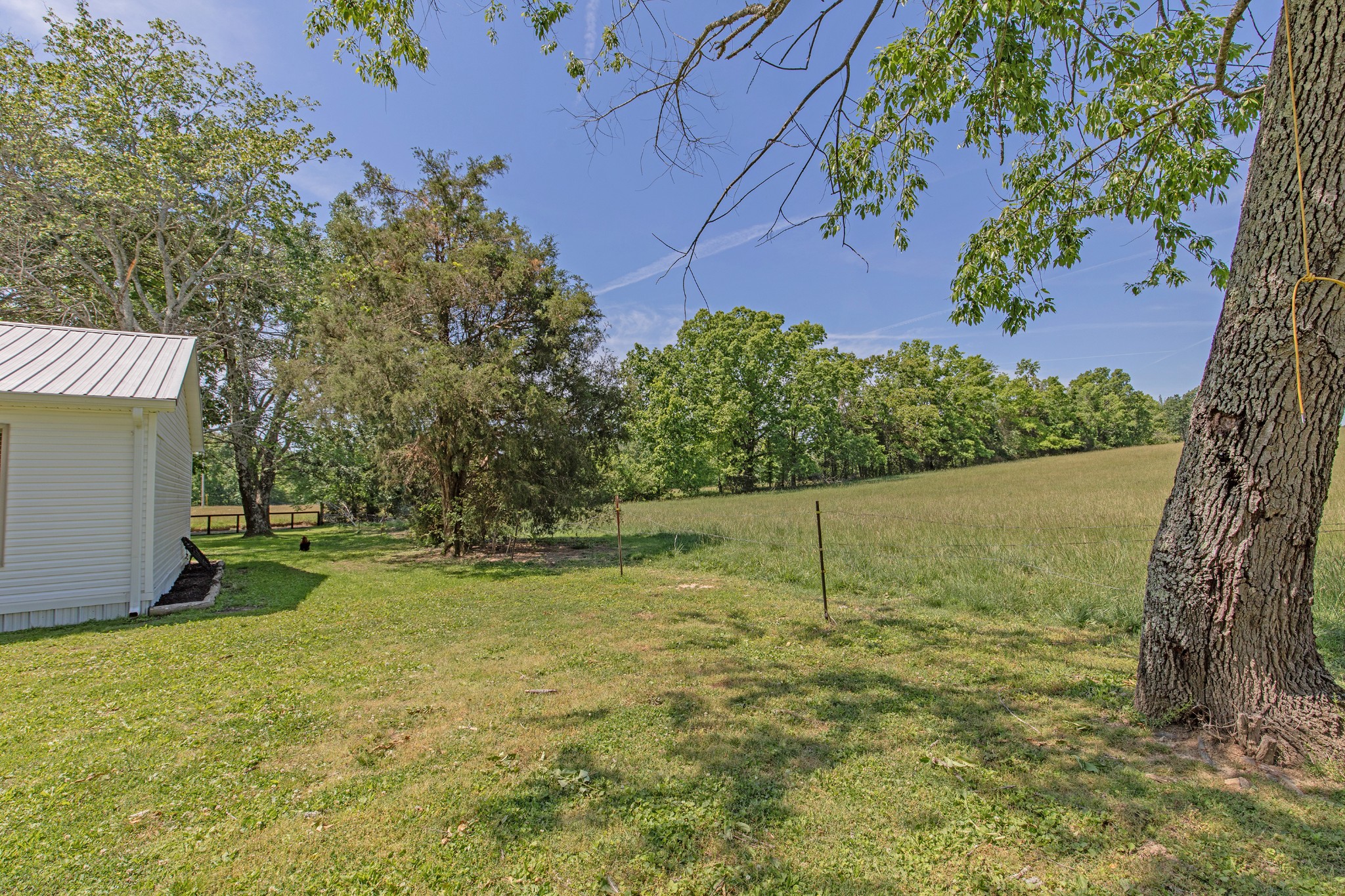 2976 Shrum Cemetery Road Westmoreland, TN 37186 - Photo 46 of 84