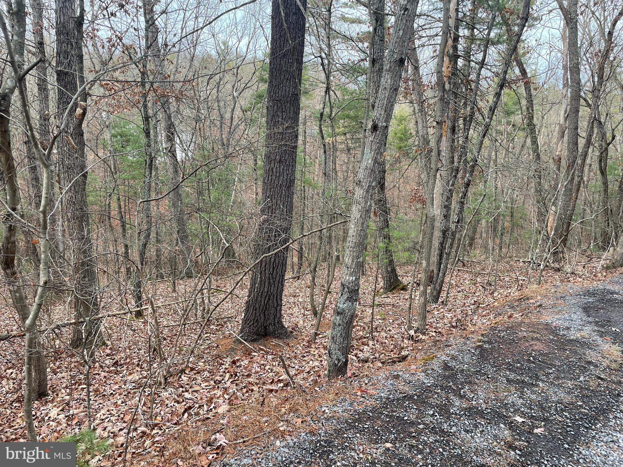 Lot 219 Crabapple Rd Mount Mount Jackson, VA 22842 - Photo 1 of 3
