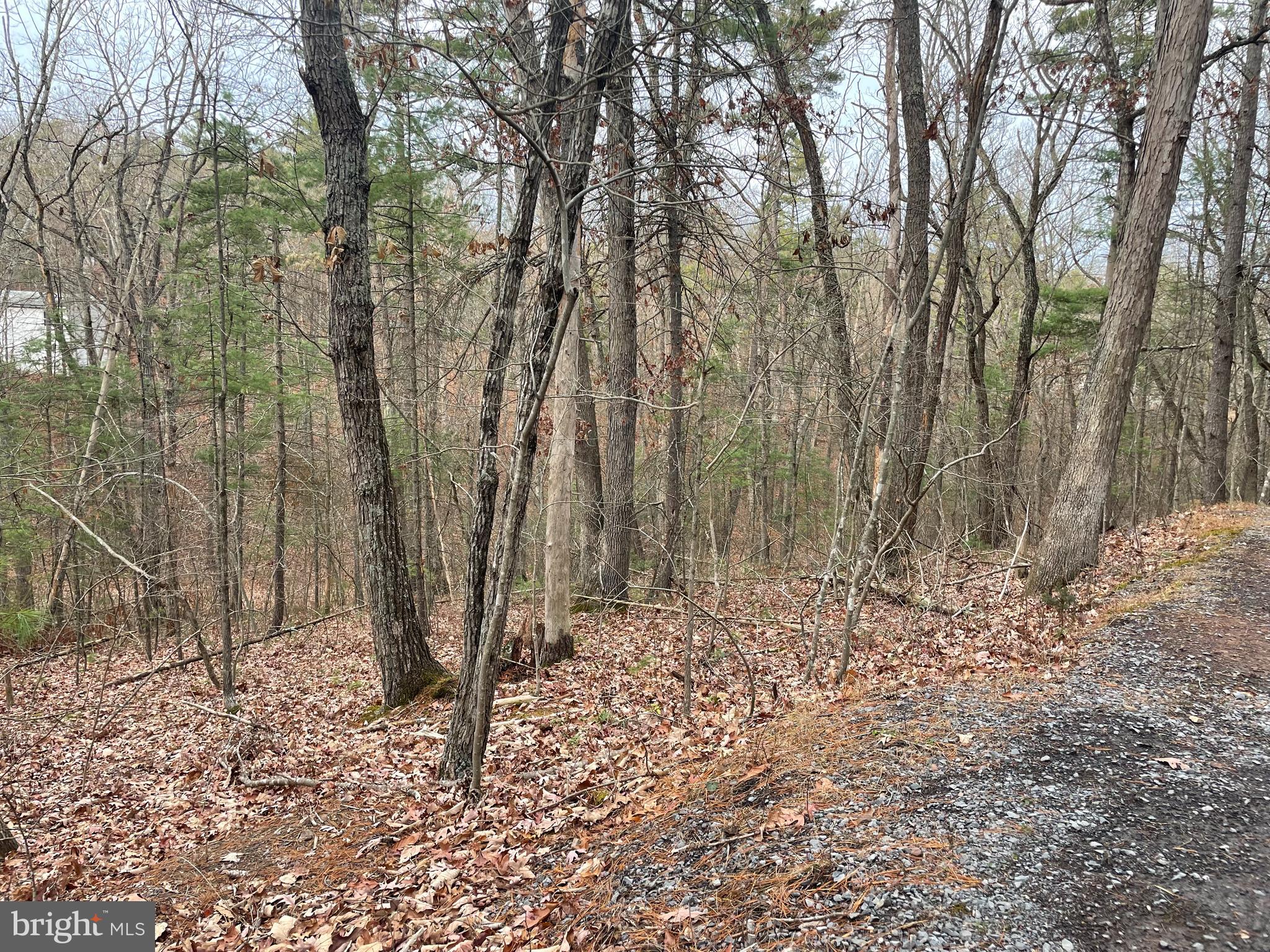 Lot 219 Crabapple Rd Mount Mount Jackson, VA 22842 - Photo 2 of 3