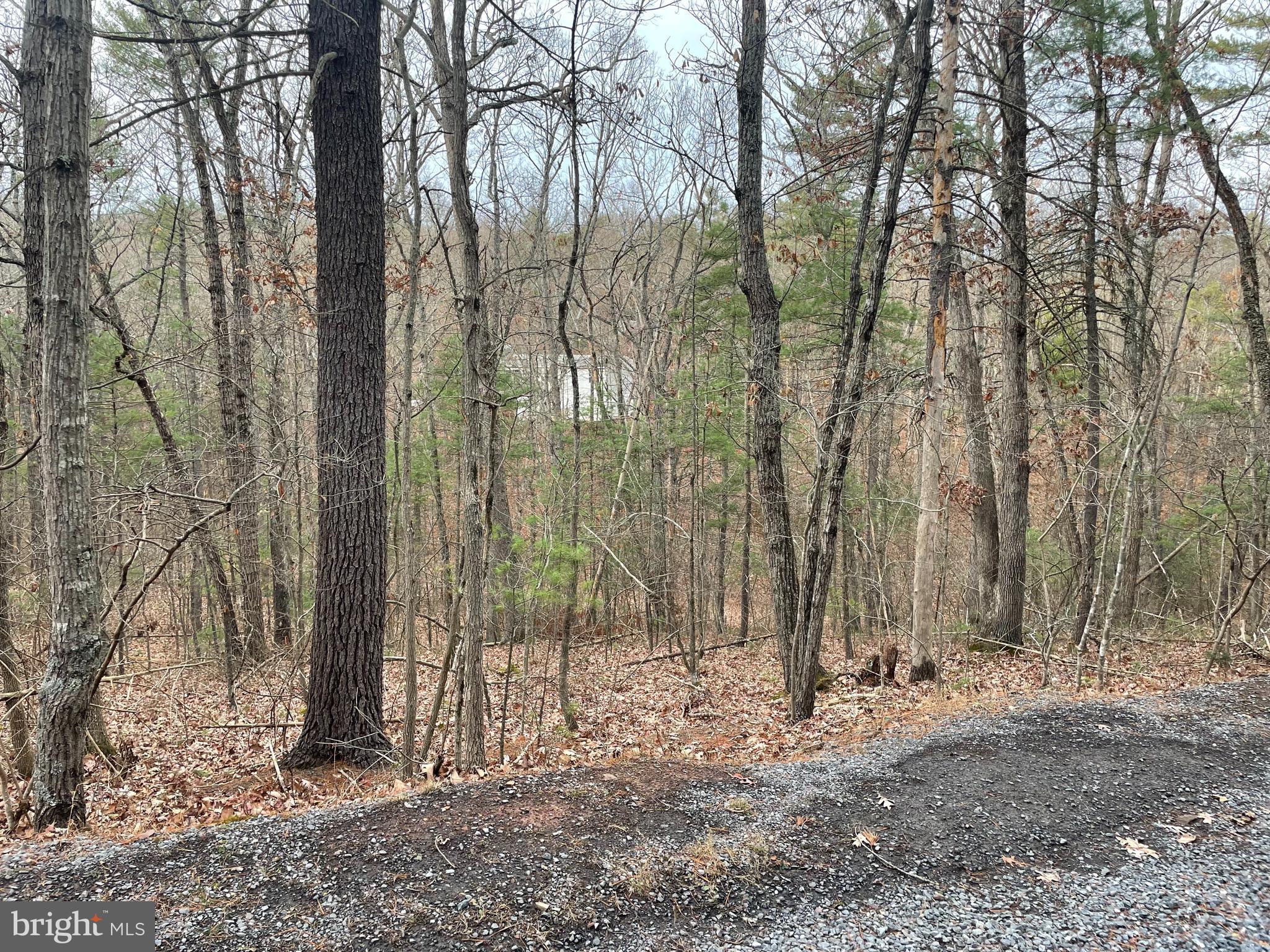 Lot 219 Crabapple Rd Mount Mount Jackson, VA 22842 - Photo 3 of 3