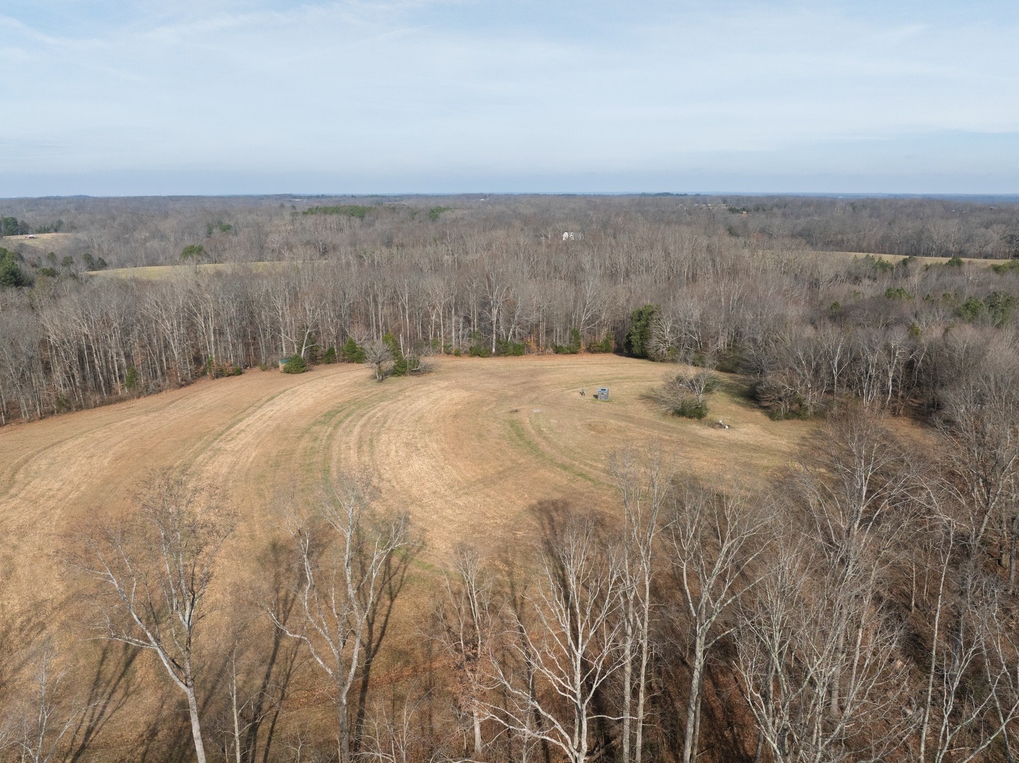 10001 Davis Branch Road Bon Aqua, TN 37025 - Photo 11 of 38 a view of a dry yard with wooden floors and fence