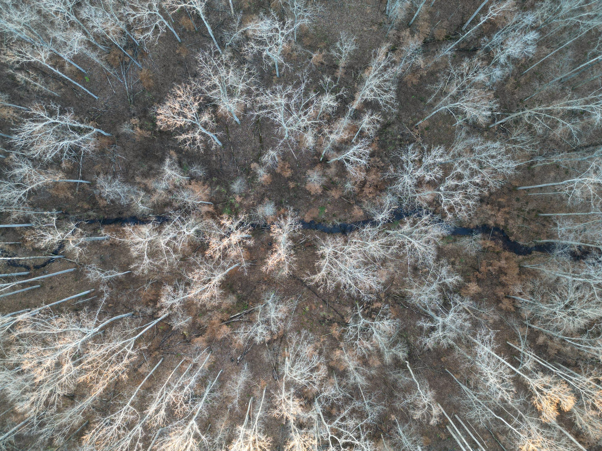 10001 Davis Branch Road Bon Aqua, TN 37025 - Photo 13 of 38 a view of a yard