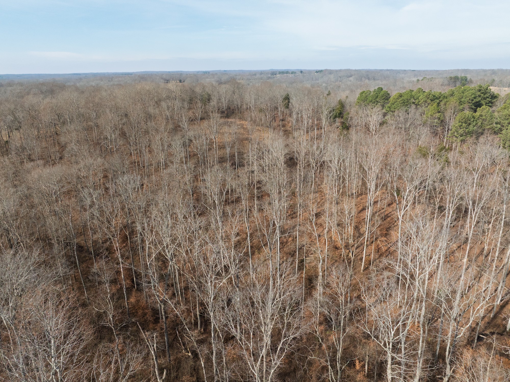 10001 Davis Branch Road Bon Aqua, TN 37025 - Photo 18 of 38 a view of an outdoor space and a yard