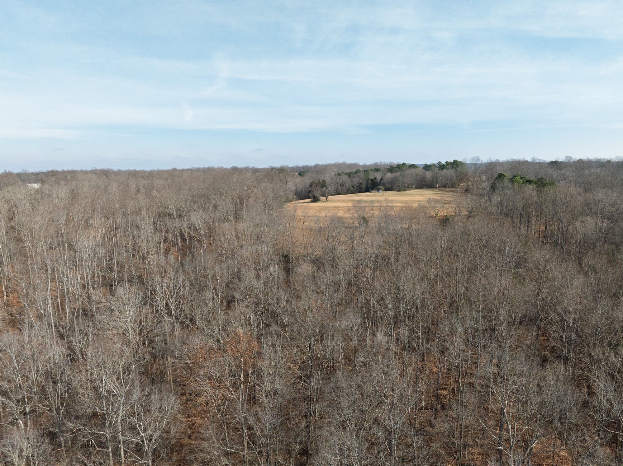 10001 Davis Branch Road Bon Aqua, TN 37025 - Photo 19 of 38 a view of lake and mountain