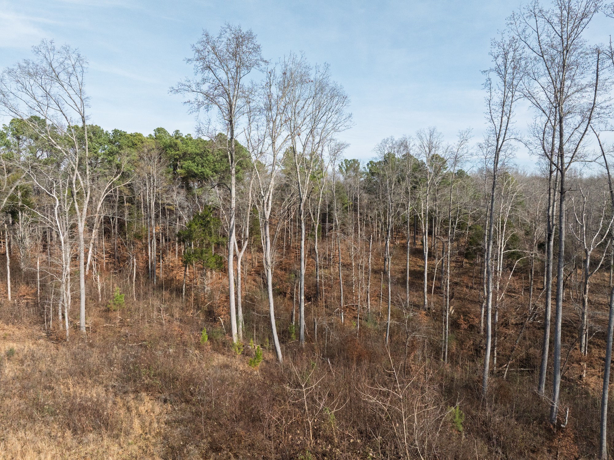 10001 Davis Branch Road Bon Aqua, TN 37025 - Photo 22 of 38