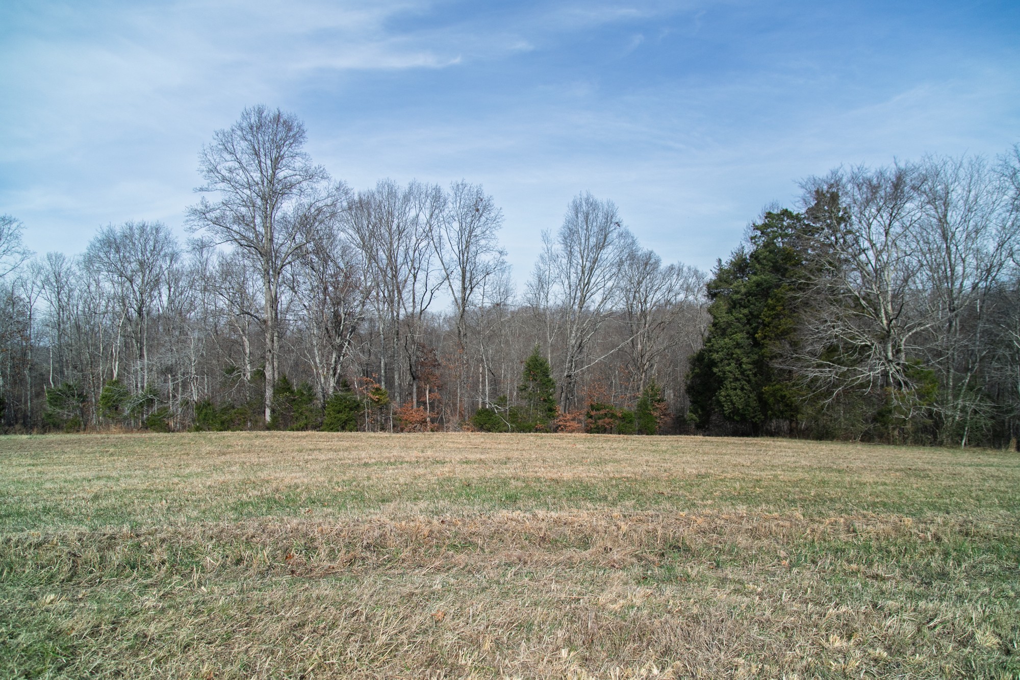 10001 Davis Branch Road Bon Aqua, TN 37025 - Photo 24 of 38 a view of basketball court