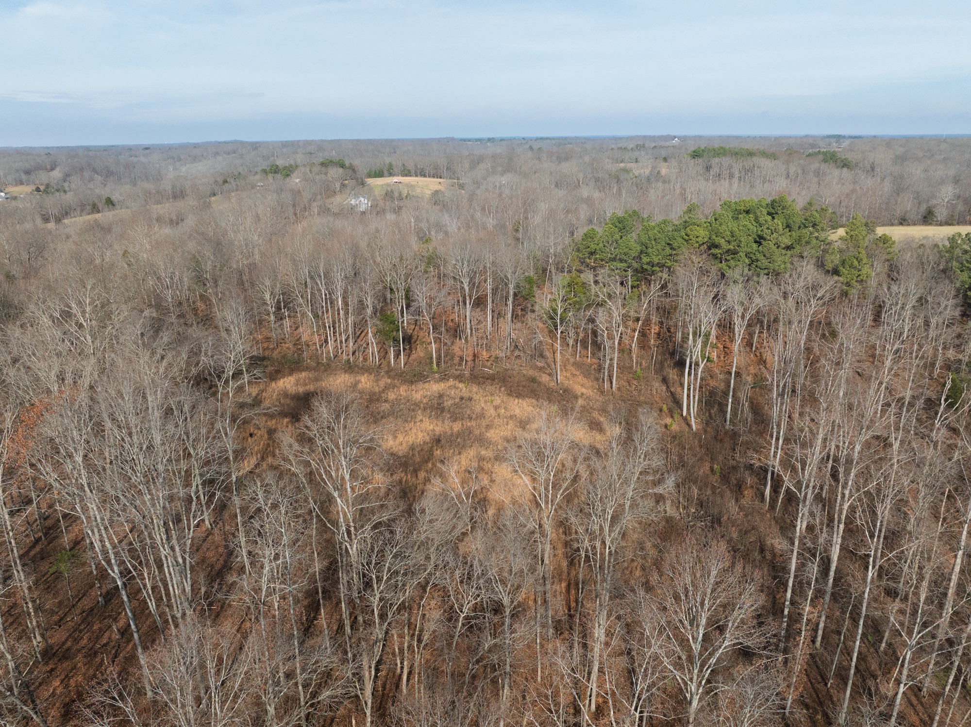 10001 Davis Branch Road Bon Aqua, TN 37025 - Photo 25 of 38