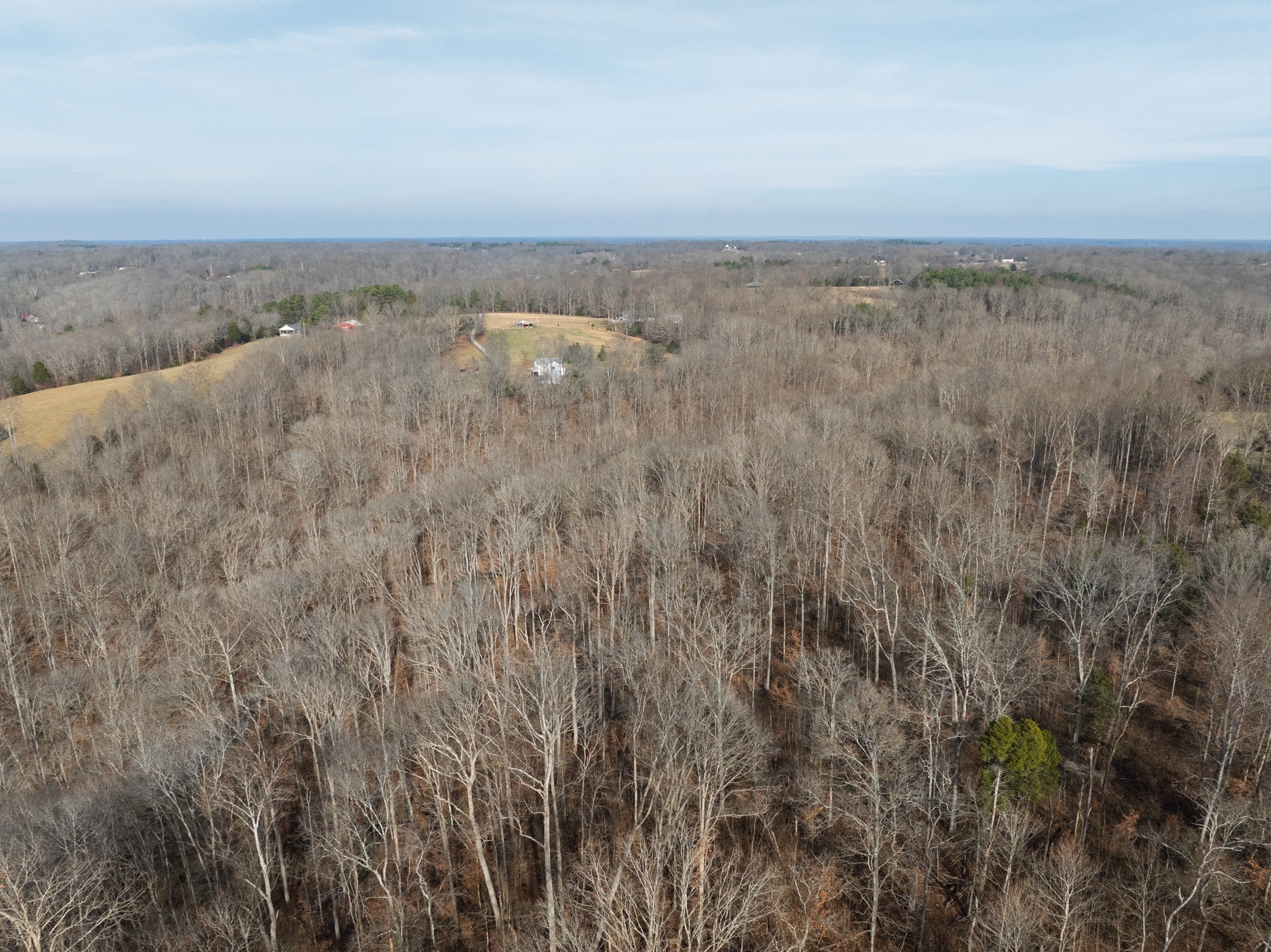 10001 Davis Branch Road Bon Aqua, TN 37025 - Photo 35 of 38