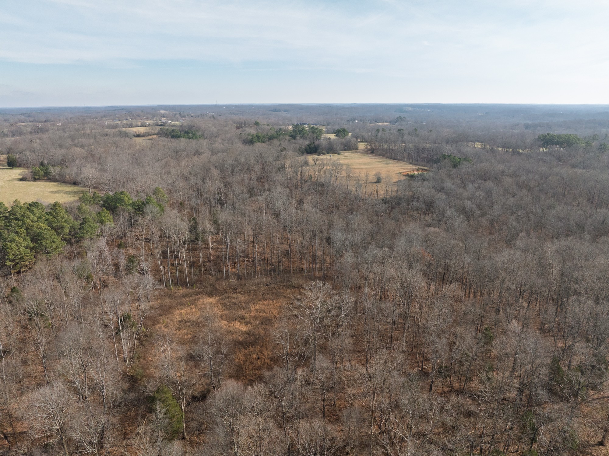 10001 Davis Branch Road Bon Aqua, TN 37025 - Photo 36 of 38 a view of a dry yard with green space