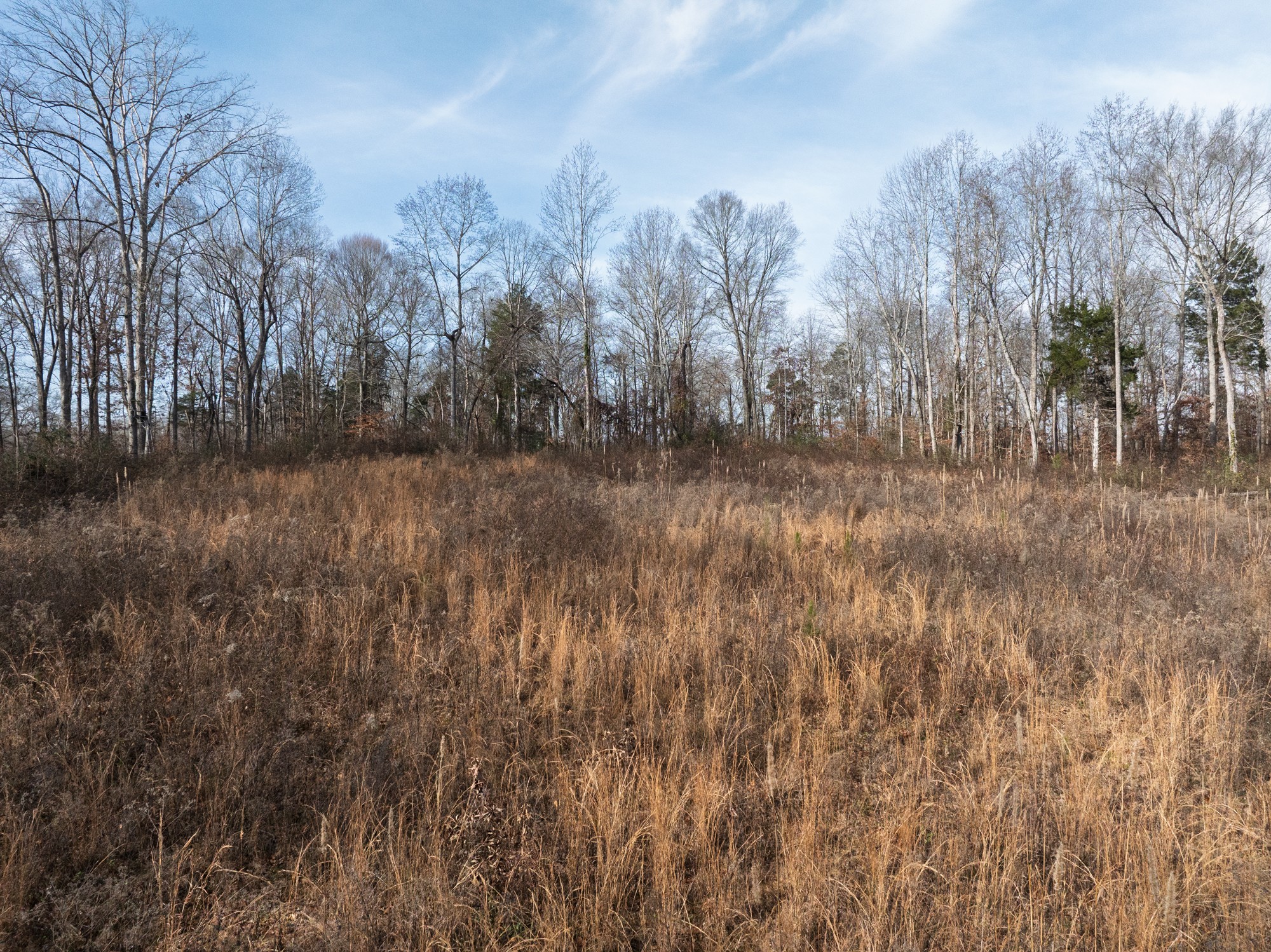 10001 Davis Branch Road Bon Aqua, TN 37025 - Photo 37 of 38 a view of a yard