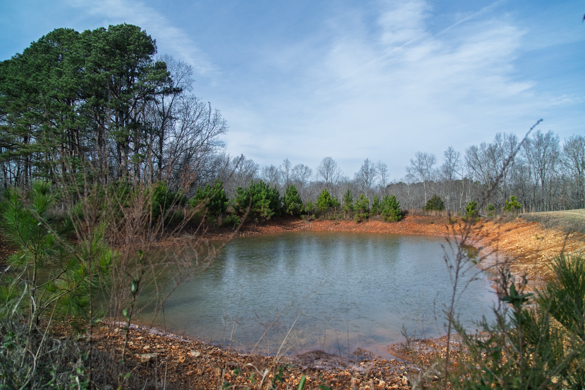 10001 Davis Branch Road Bon Aqua, TN 37025 - Photo 4 of 38 a view of a lake with a city