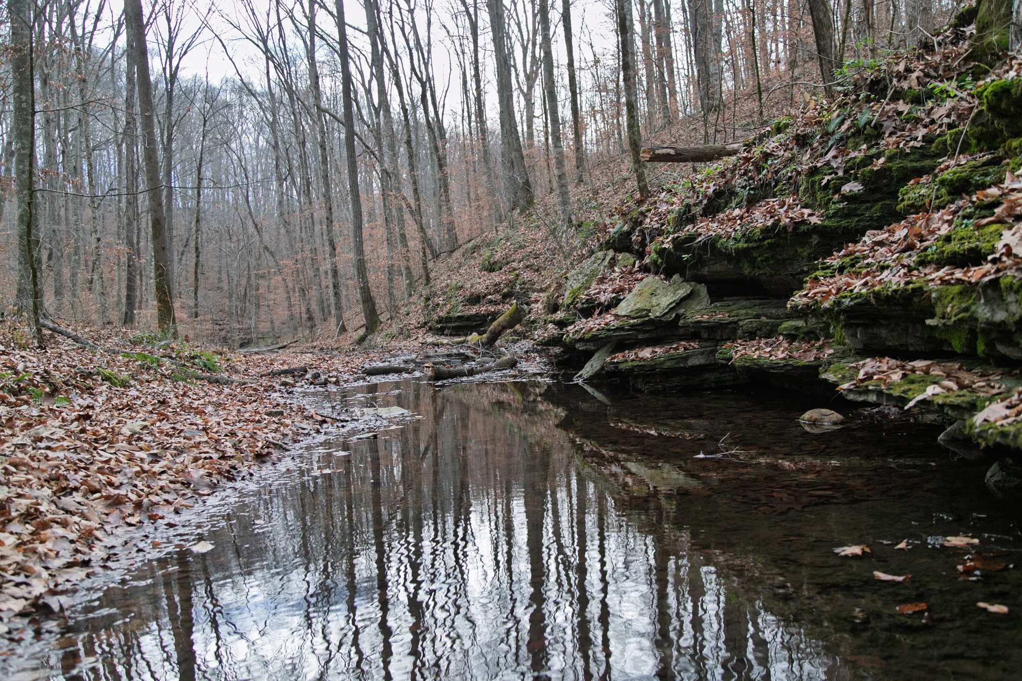 10001 Davis Branch Road Bon Aqua, TN 37025 - Photo 5 of 38
