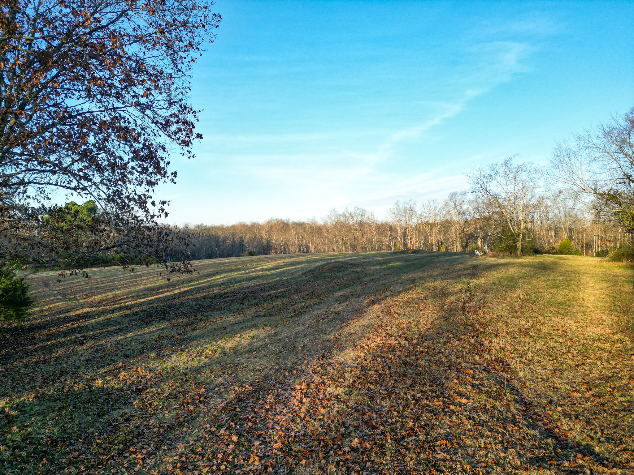 10001 Davis Branch Road Bon Aqua, TN 37025 - Photo 10 of 38