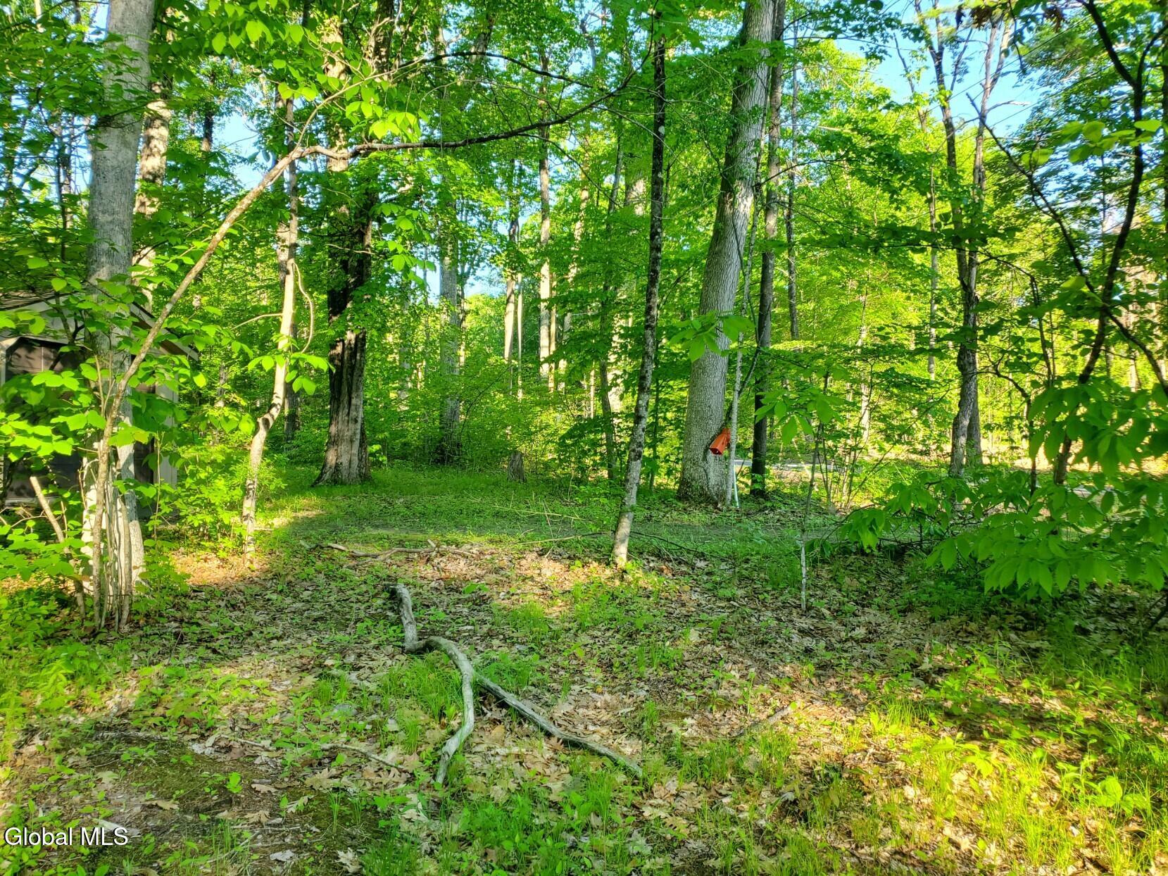18 Nacy Road Queensbury, NY 12845 - Photo 18 of 24 18