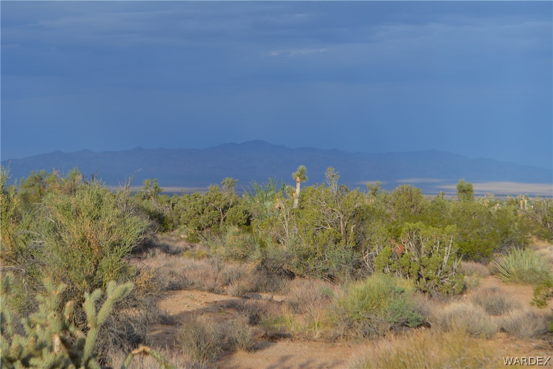 8 South Gold Mine Road Yucca, AZ 86438 - Photo 14 of 42 Gallery Image 14