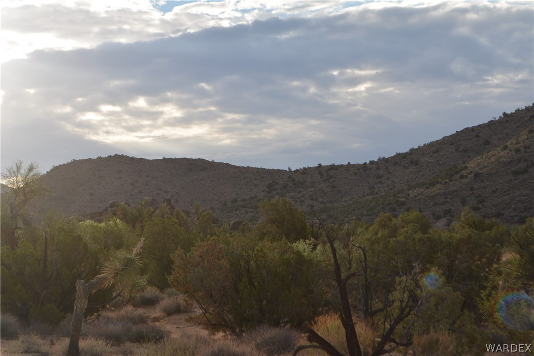 8 South Gold Mine Road Yucca, AZ 86438 - Photo 2 of 42 Gallery Image 2