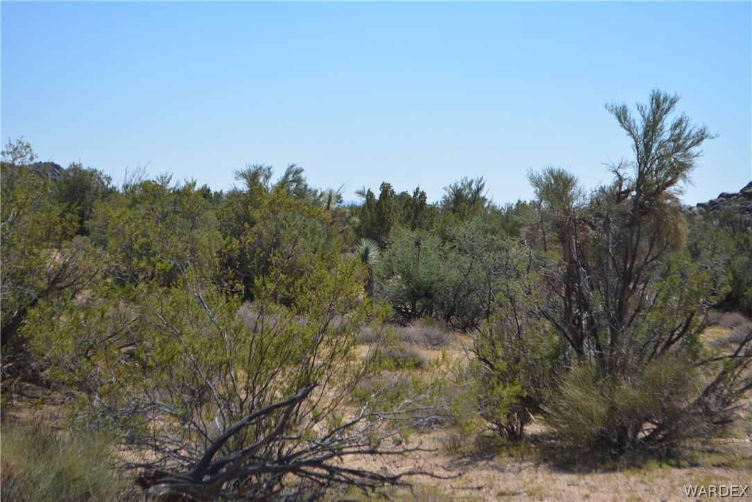 8 South Gold Mine Road Yucca, AZ 86438 - Photo 24 of 42 Gallery Image 24