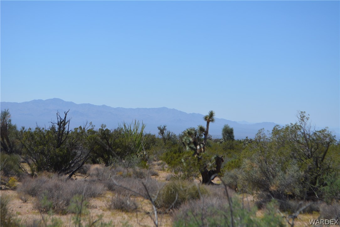 8 South Gold Mine Road Yucca, AZ 86438 - Photo 30 of 42 Gallery Image 30