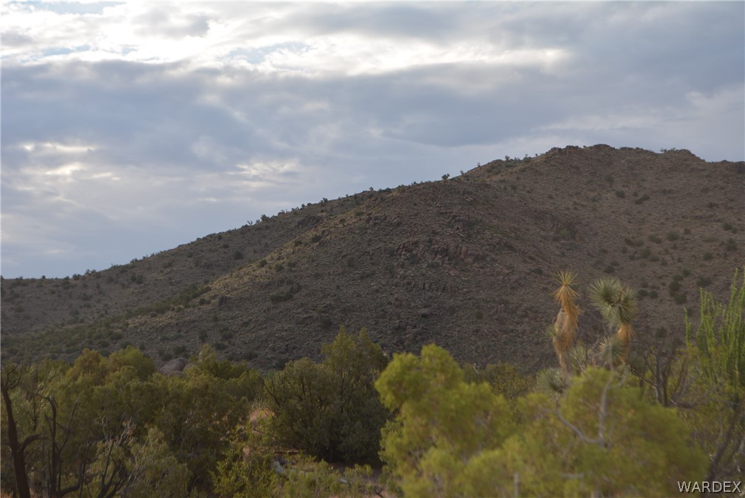 8 South Gold Mine Road Yucca, AZ 86438 - Photo 3 of 42 Gallery Image 3