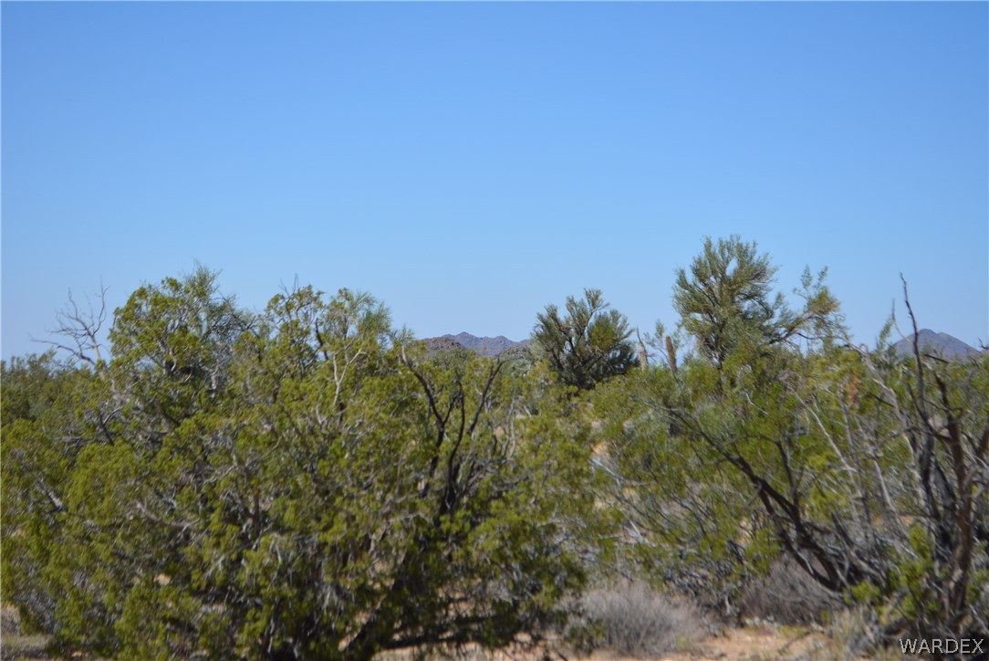 8 South Gold Mine Road Yucca, AZ 86438 - Photo 31 of 42 Gallery Image 31