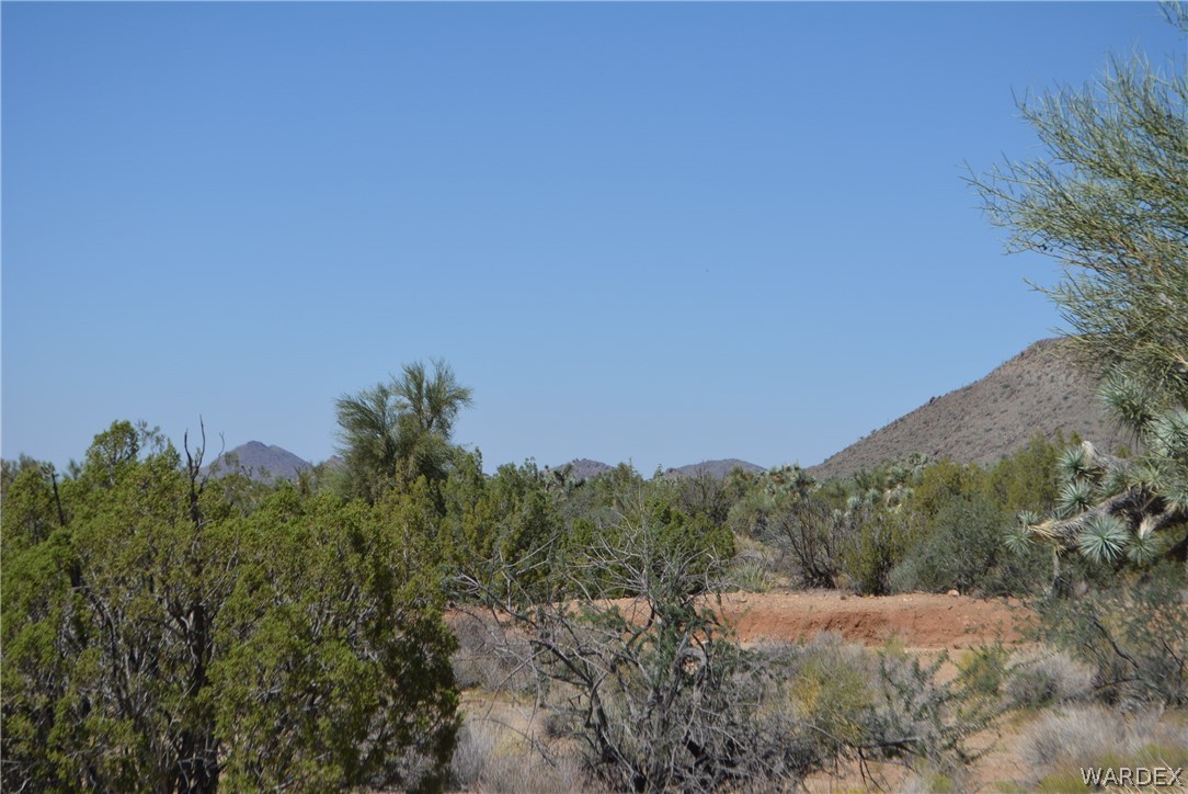 8 South Gold Mine Road Yucca, AZ 86438 - Photo 32 of 42 Gallery Image 32