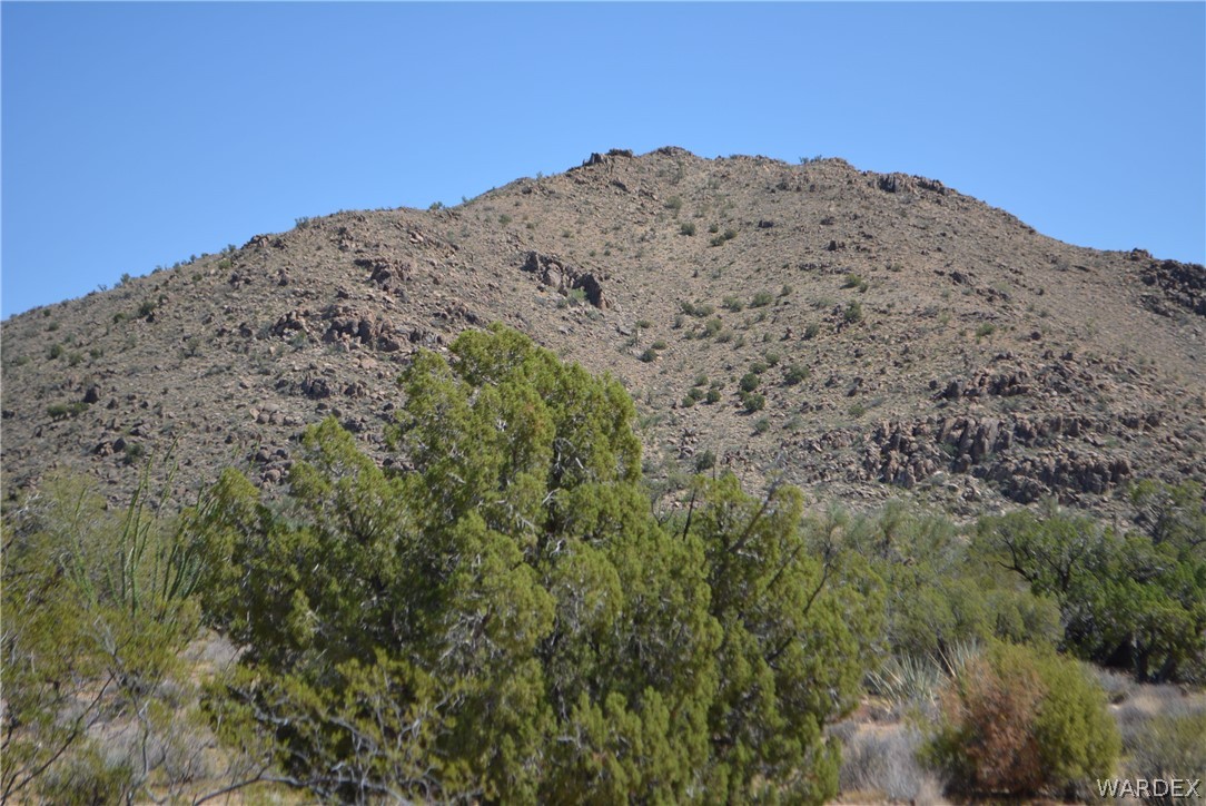 8 South Gold Mine Road Yucca, AZ 86438 - Photo 35 of 42 Gallery Image 35