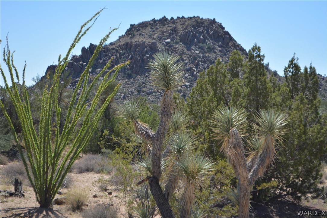 8 South Gold Mine Road Yucca, AZ 86438 - Photo 36 of 42 Gallery Image 36