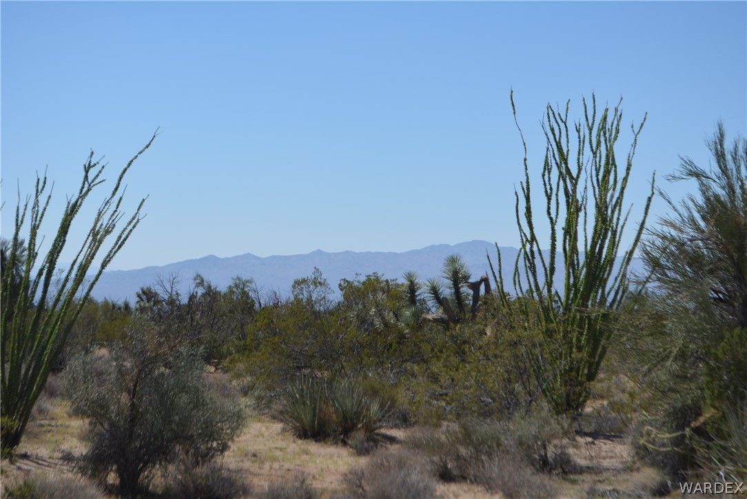8 South Gold Mine Road Yucca, AZ 86438 - Photo 39 of 42 Gallery Image 39