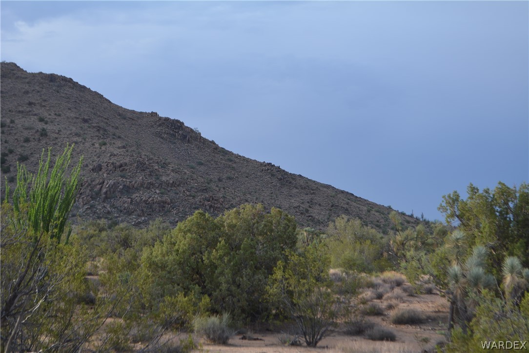 8 South Gold Mine Road Yucca, AZ 86438 - Photo 4 of 42 Gallery Image 4