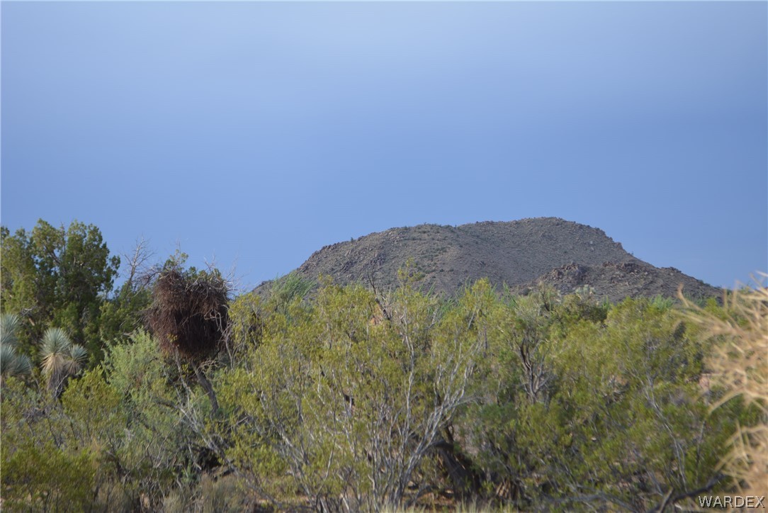 8 South Gold Mine Road Yucca, AZ 86438 - Photo 5 of 42 Gallery Image 5