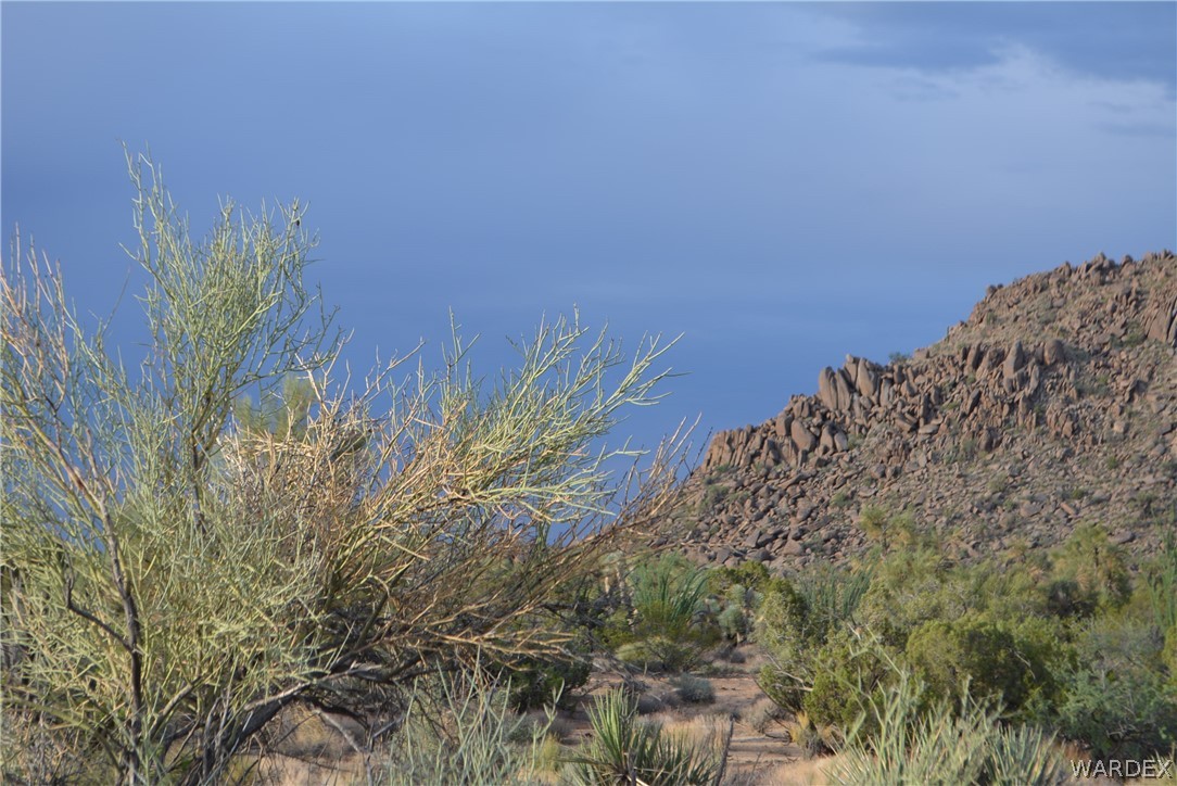 8 South Gold Mine Road Yucca, AZ 86438 - Photo 6 of 42 Gallery Image 6