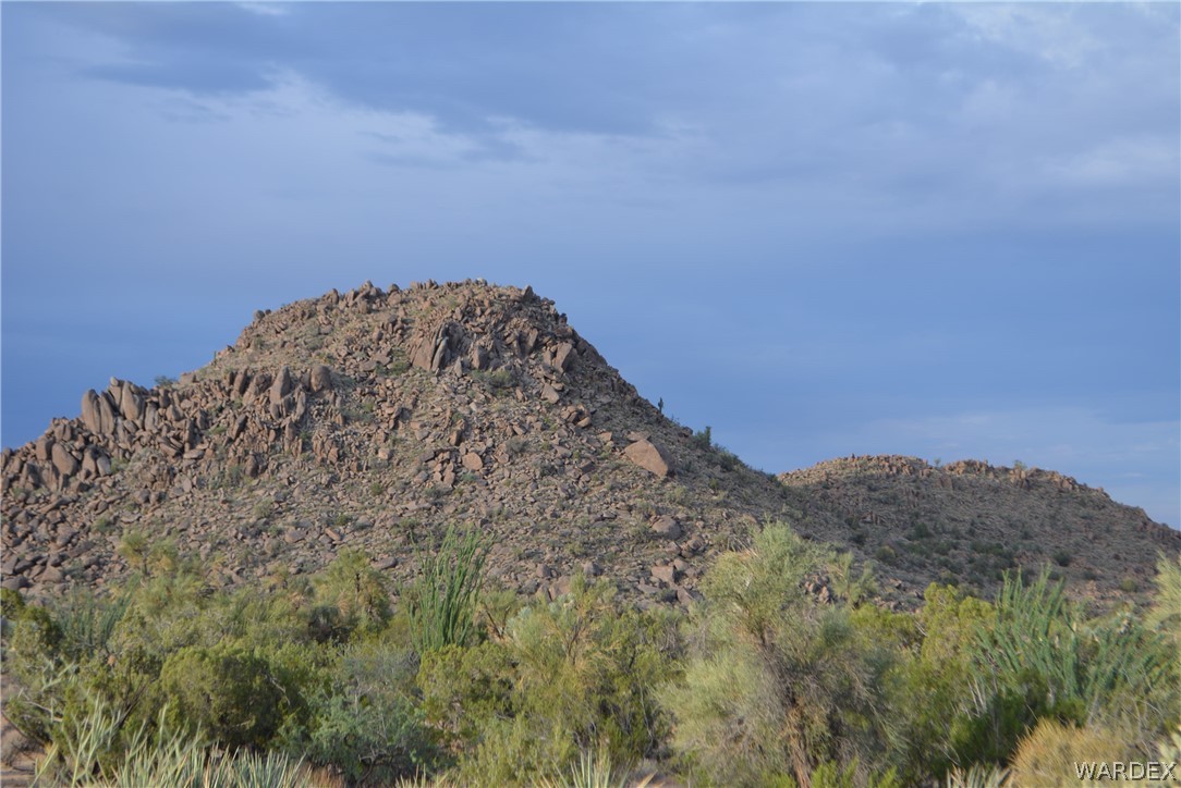 8 South Gold Mine Road Yucca, AZ 86438 - Photo 7 of 42 Gallery Image 7