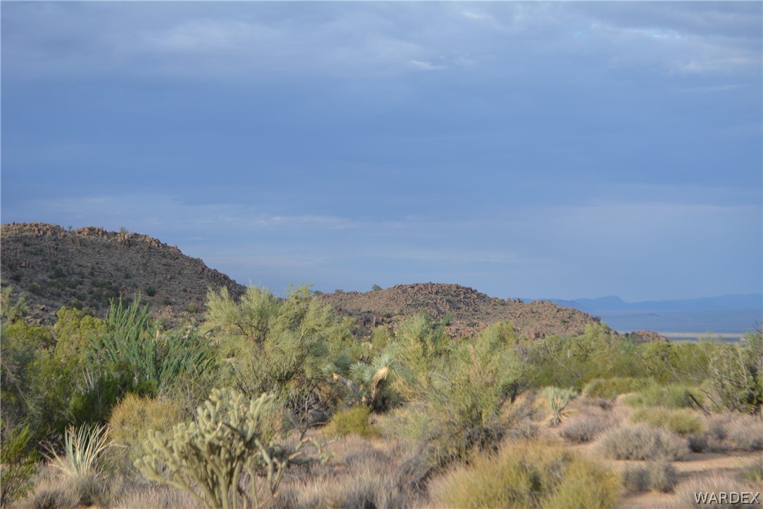 8 South Gold Mine Road Yucca, AZ 86438 - Photo 8 of 42 Gallery Image 8