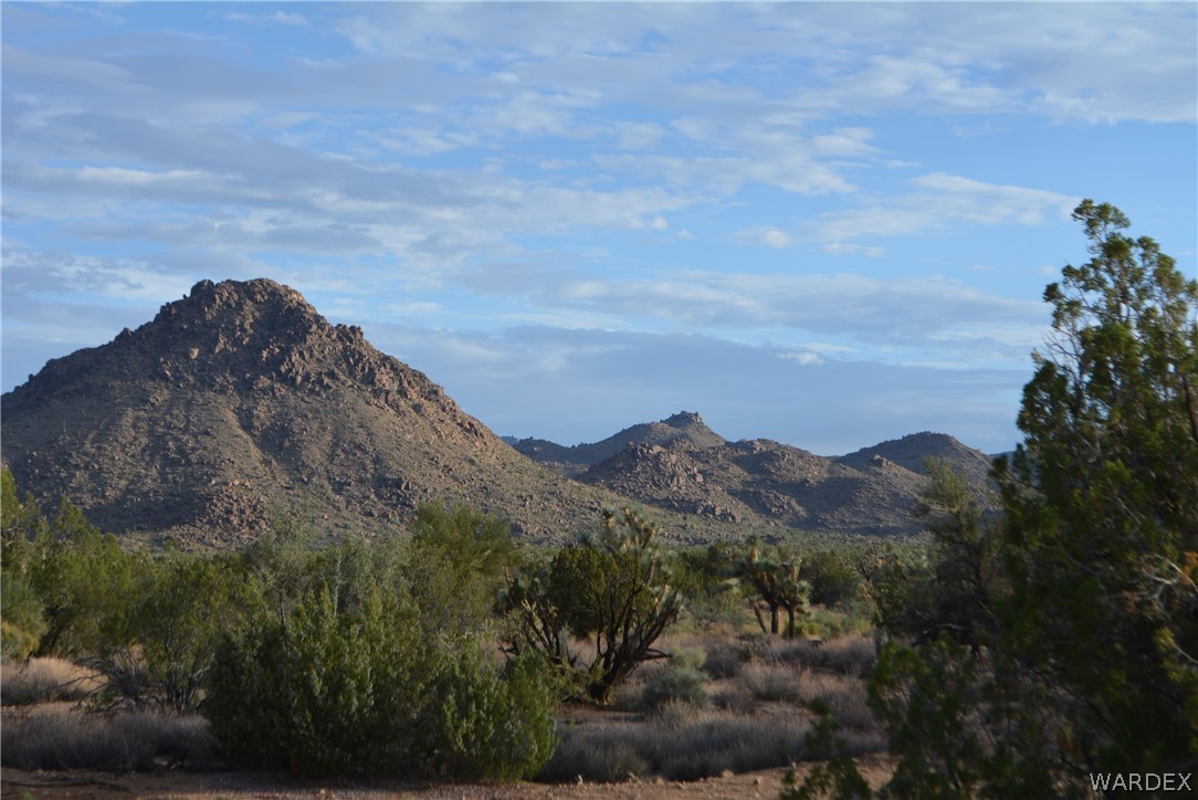 8 South Gold Mine Road Yucca, AZ 86438 - Photo 10 of 42 Gallery Image 10