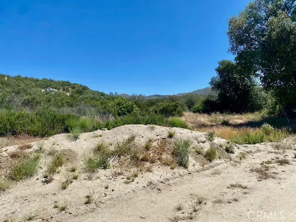 a view of a dry yard