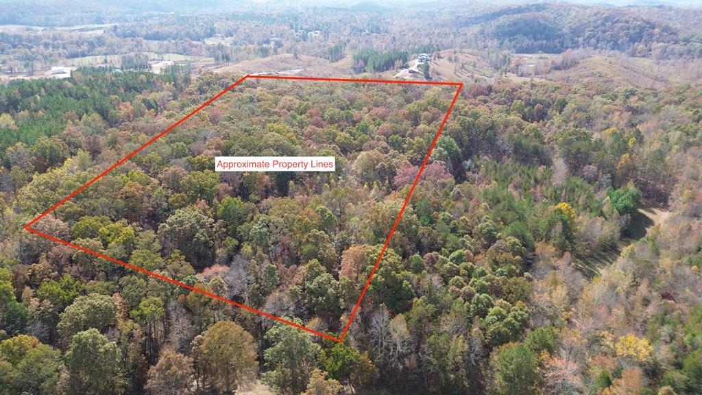 0 Keith Salem Road Ringgold, GA 30736 - Photo 1 of 11 Main View