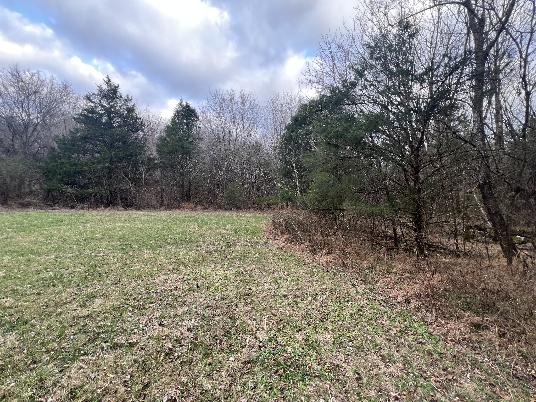 3281 Statesville Road Watertown, TN 37184 - Photo 28 of 34