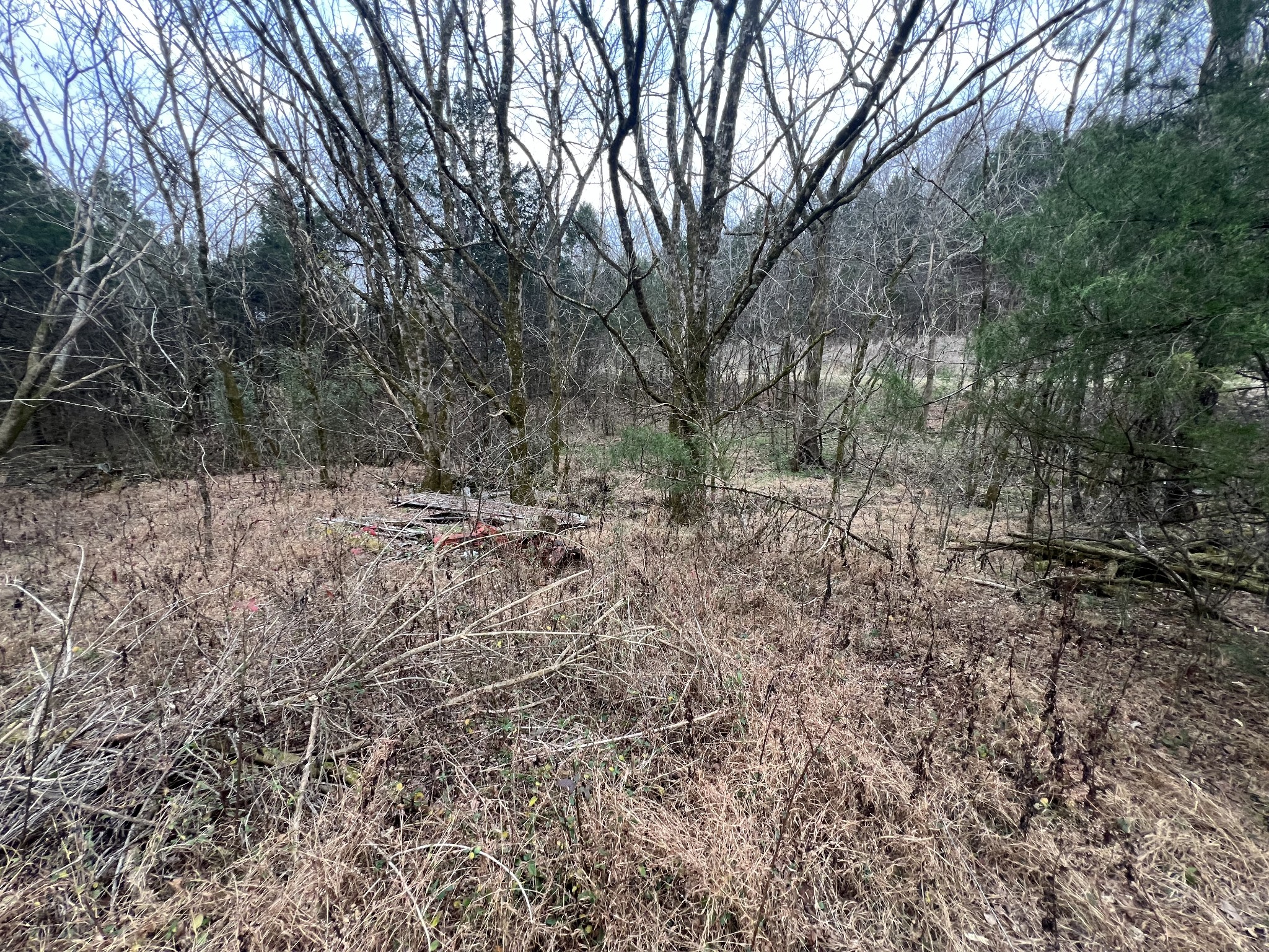 3281 Statesville Road Watertown, TN 37184 - Photo 31 of 34