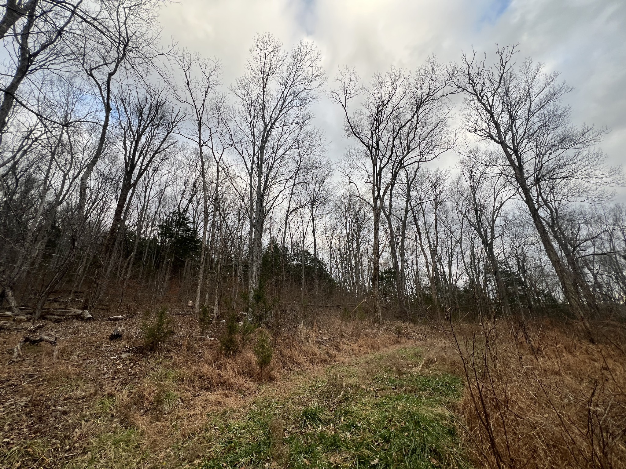 3281 Statesville Road Watertown, TN 37184 - Photo 34 of 34