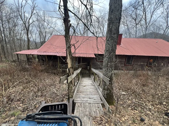 a view of a forest with trees in the background