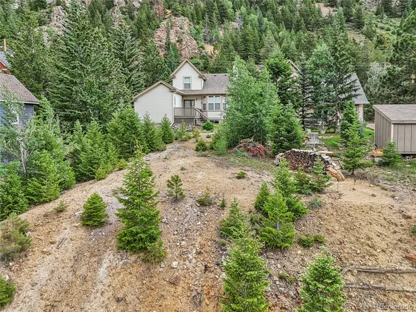 a view of a dry yard with large trees
