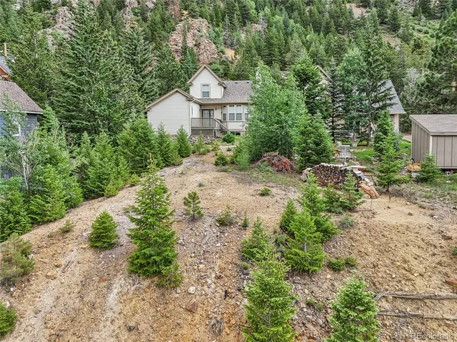 a view of a dry yard with large trees